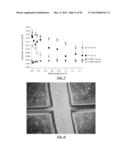 LUBRICATION WITH OIL-COMPATIBLE POLYMER BRUSHES diagram and image