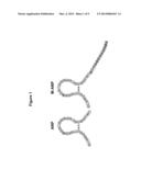 SUBCUTANEOUS DELIVERY OF A LONG-ACTING NATRIURETIC PEPTIDE diagram and image