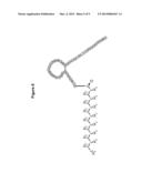 SUBCUTANEOUS DELIVERY OF A LONG-ACTING NATRIURETIC PEPTIDE diagram and image