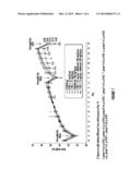 Glucokinase Activator Compositions for the Treatment of Diabetes diagram and image
