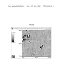 IMMEDIATE RELEASE PHARMACEUTICAL FORMULATION OF     4-[3-(4-CYCLOPROPANECARBONYL-PIPERAZINE-1-CARBONYL)-4-FLUORO-BENZYL]-2H-P-    HTHALAZIN-1-ONE diagram and image