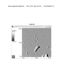 IMMEDIATE RELEASE PHARMACEUTICAL FORMULATION OF     4-[3-(4-CYCLOPROPANECARBONYL-PIPERAZINE-1-CARBONYL)-4-FLUORO-BENZYL]-2H-P-    HTHALAZIN-1-ONE diagram and image