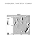 IMMEDIATE RELEASE PHARMACEUTICAL FORMULATION OF     4-[3-(4-CYCLOPROPANECARBONYL-PIPERAZINE-1-CARBONYL)-4-FLUORO-BENZYL]-2H-P-    HTHALAZIN-1-ONE diagram and image