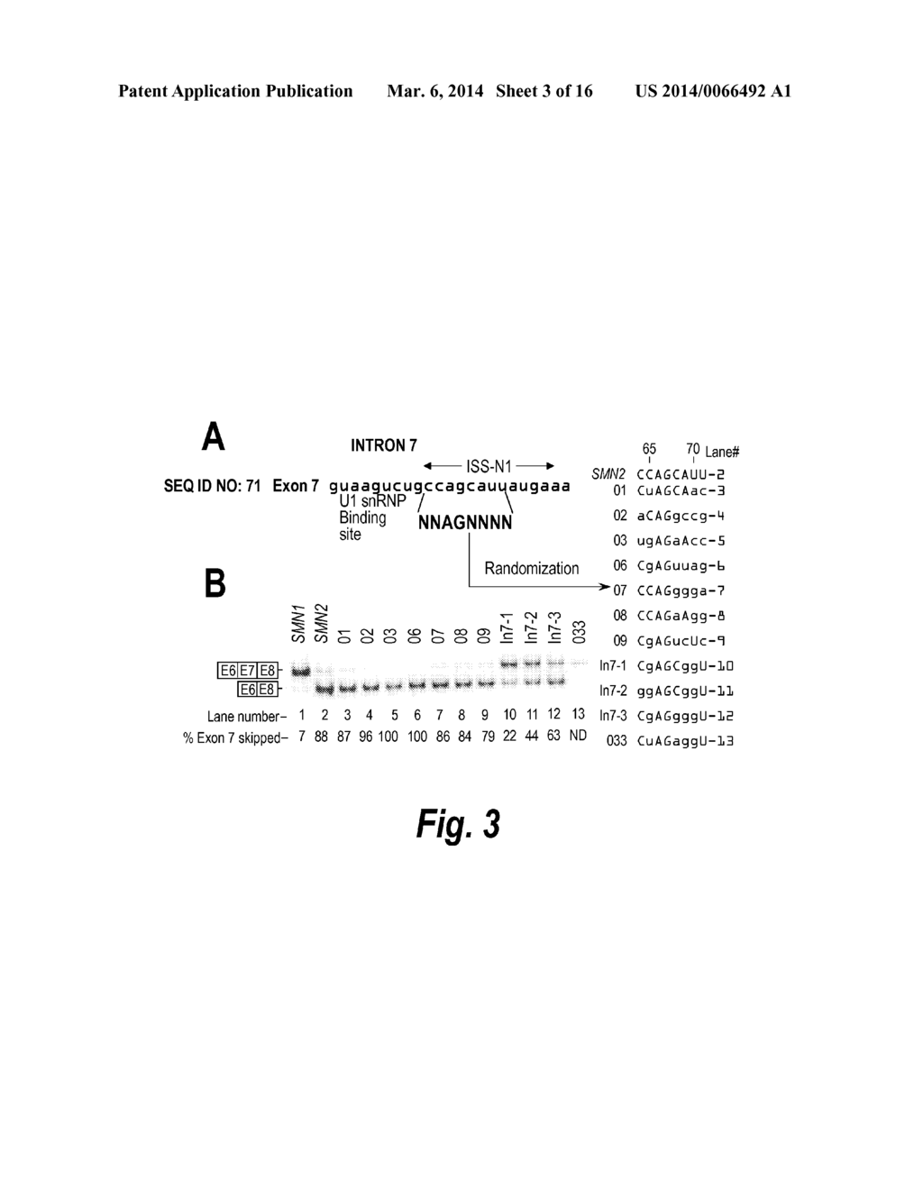 SPINAL MUSCULAR ATROPHY (SMA) TREATMENT VIA TARGETING OF SMN2 SPLICE SITE     INHIBITORY SEQUENCES - diagram, schematic, and image 04