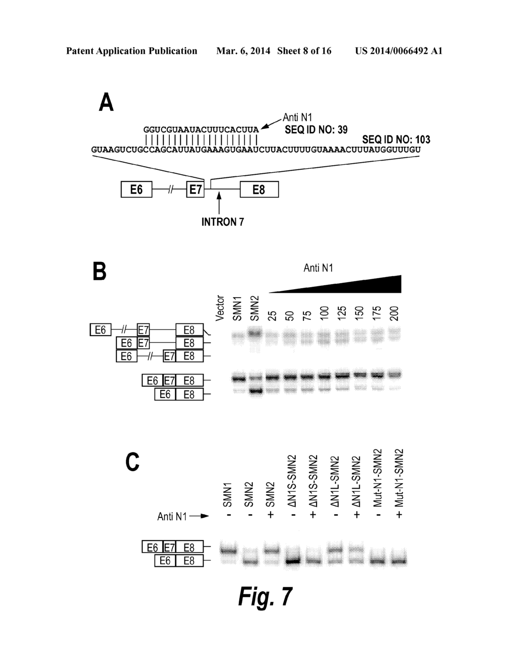 SPINAL MUSCULAR ATROPHY (SMA) TREATMENT VIA TARGETING OF SMN2 SPLICE SITE     INHIBITORY SEQUENCES - diagram, schematic, and image 09