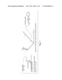 SPATIAL SEQUESTRATION OF DYNAMIC NUCLEIC ACID CIRCUITS diagram and image