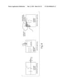 SPATIAL SEQUESTRATION OF DYNAMIC NUCLEIC ACID CIRCUITS diagram and image