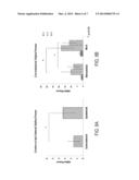 SYSTEM AND METHOD FOR QUANTIFYING OR IMAGING PAIN USING     ELECTROPHYSIOLOGICAL MEASUREMENTS diagram and image