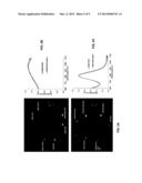 Optoacoustic-Ultrasonic Contrast Agents with Enhanced Efficiency diagram and image