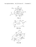 ANATOMICALLY ADAPTED INGESTIBLE DELIVERY SYSTEMS AND METHODS diagram and image