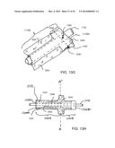 ANATOMICALLY ADAPTED INGESTIBLE DELIVERY SYSTEMS AND METHODS diagram and image