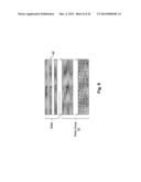 ASSIMILATION OF FOREIGN LUNS INTO A NETWORK STORAGE SYSTEM diagram and image