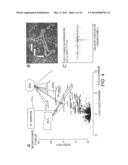 R2R1/2 In Diagnosis and Therapy diagram and image