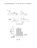 METHODS AND COMPOSITIONS FOR RNA-DIRECTED TARGET DNA MODIFICATION AND FOR     RNA-DIRECTED MODULATION OF TRANSCRIPTION diagram and image