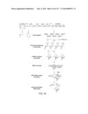 METHODS AND COMPOSITIONS FOR RNA-DIRECTED TARGET DNA MODIFICATION AND FOR     RNA-DIRECTED MODULATION OF TRANSCRIPTION diagram and image