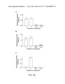 METHODS AND COMPOSITIONS FOR RNA-DIRECTED TARGET DNA MODIFICATION AND FOR     RNA-DIRECTED MODULATION OF TRANSCRIPTION diagram and image