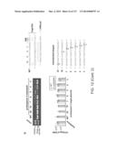 METHODS AND COMPOSITIONS FOR RNA-DIRECTED TARGET DNA MODIFICATION AND FOR     RNA-DIRECTED MODULATION OF TRANSCRIPTION diagram and image