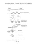 METHODS AND COMPOSITIONS FOR RNA-DIRECTED TARGET DNA MODIFICATION AND FOR     RNA-DIRECTED MODULATION OF TRANSCRIPTION diagram and image