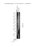 METHODS AND COMPOSITIONS FOR RNA-DIRECTED TARGET DNA MODIFICATION AND FOR     RNA-DIRECTED MODULATION OF TRANSCRIPTION diagram and image