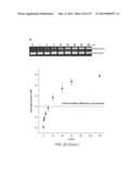 METHODS AND COMPOSITIONS FOR RNA-DIRECTED TARGET DNA MODIFICATION AND FOR     RNA-DIRECTED MODULATION OF TRANSCRIPTION diagram and image