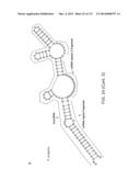 METHODS AND COMPOSITIONS FOR RNA-DIRECTED TARGET DNA MODIFICATION AND FOR     RNA-DIRECTED MODULATION OF TRANSCRIPTION diagram and image