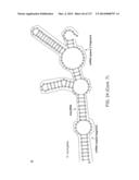 METHODS AND COMPOSITIONS FOR RNA-DIRECTED TARGET DNA MODIFICATION AND FOR     RNA-DIRECTED MODULATION OF TRANSCRIPTION diagram and image