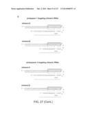 METHODS AND COMPOSITIONS FOR RNA-DIRECTED TARGET DNA MODIFICATION AND FOR     RNA-DIRECTED MODULATION OF TRANSCRIPTION diagram and image