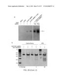 METHODS AND COMPOSITIONS FOR RNA-DIRECTED TARGET DNA MODIFICATION AND FOR     RNA-DIRECTED MODULATION OF TRANSCRIPTION diagram and image