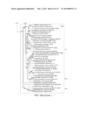 METHODS AND COMPOSITIONS FOR RNA-DIRECTED TARGET DNA MODIFICATION AND FOR     RNA-DIRECTED MODULATION OF TRANSCRIPTION diagram and image