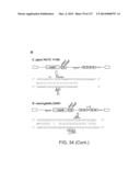 METHODS AND COMPOSITIONS FOR RNA-DIRECTED TARGET DNA MODIFICATION AND FOR     RNA-DIRECTED MODULATION OF TRANSCRIPTION diagram and image