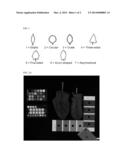 HYBRID SPINACH VARIETY 51-337 RZ diagram and image