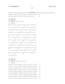 DIRIGENT GENE EG261 AND ITS ORTHOLOGS AND PARALOGS AND THEIR USES FOR     PATHOGEN RESISTANCE IN PLANTS diagram and image