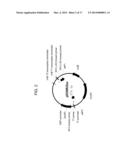 DROUGHT TOLERANT PLANTS AND RELATED CONSTRUCTS AND METHODS INVOLVING GENES     ENCODING ZINC-FINGER (C3HC4-TYPE RING FINGER) FAMILY POLYPEPTIDES diagram and image