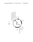 DROUGHT TOLERANT PLANTS AND RELATED CONSTRUCTS AND METHODS INVOLVING GENES     ENCODING ZINC-FINGER (C3HC4-TYPE RING FINGER) FAMILY POLYPEPTIDES diagram and image