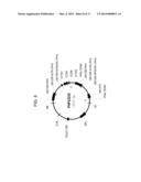 DROUGHT TOLERANT PLANTS AND RELATED CONSTRUCTS AND METHODS INVOLVING GENES     ENCODING ZINC-FINGER (C3HC4-TYPE RING FINGER) FAMILY POLYPEPTIDES diagram and image