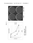 DROUGHT TOLERANT PLANTS AND RELATED CONSTRUCTS AND METHODS INVOLVING GENES     ENCODING ZINC-FINGER (C3HC4-TYPE RING FINGER) FAMILY POLYPEPTIDES diagram and image