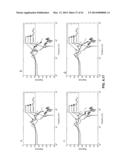 Dynamic Load-Absorbing Materials and Articles diagram and image