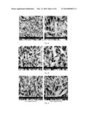 ZINC OXIDE NANOFLAKES FOR TREATMENT OF POLLUTANTS diagram and image