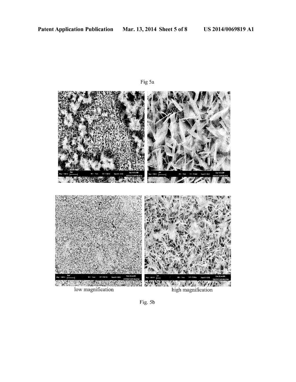 ZINC OXIDE NANOFLAKES FOR TREATMENT OF POLLUTANTS - diagram, schematic, and image 06