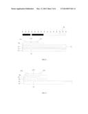 TFT ARRAY SUBSTRATE AND METHOD FOR MANUFACTURING THE SAME AND DISPLAY     DEVICE diagram and image