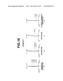 IMAGING LENS AND IMAGING APPARATUS PROVIDED WITH THE IMAGING LENS diagram and image