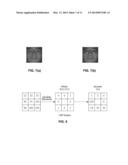 Biometric Identification Systems and Methods diagram and image