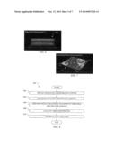 METHOD AND APPARATUS FOR IDENTIFYING A VIBROMETRY SPECTRUM IN IMAGING     APPLICATIONS diagram and image