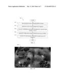 METHOD AND APPARATUS FOR IDENTIFYING A VIBROMETRY SPECTRUM IN IMAGING     APPLICATIONS diagram and image