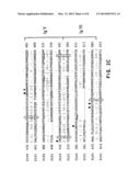 FLT4 (VEGFR-3) AS A TARGET FOR TUMOR IMAGING AND ANTI-TUMOR THERAPY diagram and image