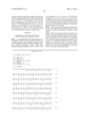 FLT4 (VEGFR-3) AS A TARGET FOR TUMOR IMAGING AND ANTI-TUMOR THERAPY diagram and image