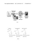 METHODS FOR DETECTING ENZYME ACTIVITY USING FLUORESCENCE LIFETIME IMAGING diagram and image