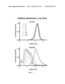 METHODS FOR DETECTING ENZYME ACTIVITY USING FLUORESCENCE LIFETIME IMAGING diagram and image