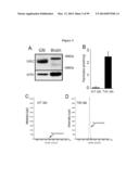 COMPOSITIONS AND METHODS FOR THE TREATMENT OF KRABBE AND OTHER     NEURODEGENERATIVE DISEASES diagram and image