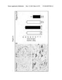 COMPOSITIONS AND METHODS FOR THE TREATMENT OF KRABBE AND OTHER     NEURODEGENERATIVE DISEASES diagram and image